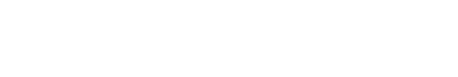 Pilot flying logo